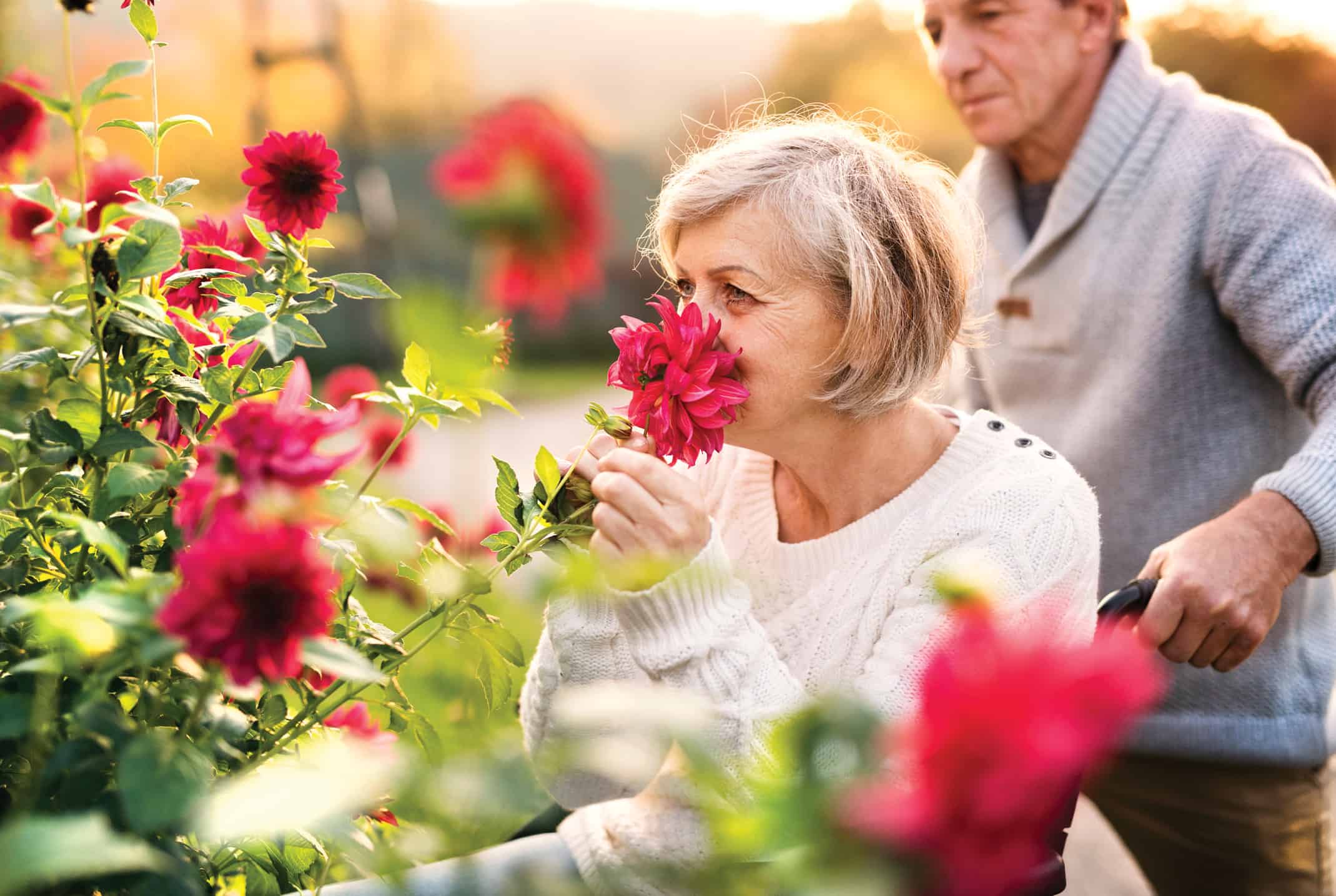 Wellbeing - Lady in garden sniffing flowers